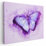 Tablou canvas fluture schita acuarela alb, bleu, mov 1158 Tablou canvas pe panza CU RAMA 50x70 cm