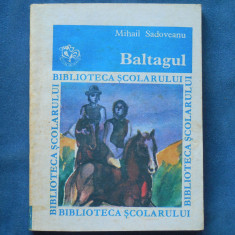 BALTAGUL - MIHAIL SADOVEANU