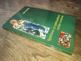 Cumpara ieftin Ilie Cioara - Spiritism si spiritualitate mistic-crestina, 2002