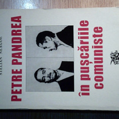 Stelian Neagoe - Petre Pandrea in puscariile comuniste (Edit. Machiavelli, 2001)