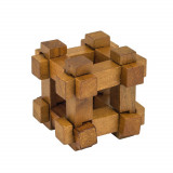 Puzzle - Darwin&#039;s Chest | Professor Puzzle