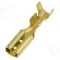 Terminal tip plat, pentru surub {{Orificiu pentru &amp;#351;urub}}, BM GROUP - BM 01395