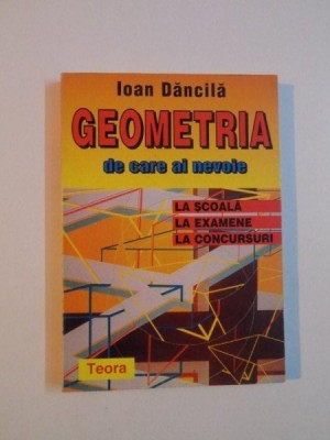 GEOMETRIA DE CARE AI NEVOIE de IOAN DANCILA , 1997 foto