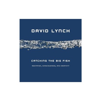 Catching the Big Fish: Meditation, Consciousness, and Creativity foto