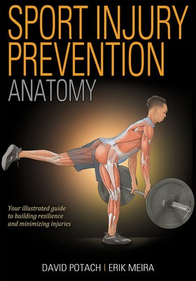 Sport Injury Prevention Anatomy foto