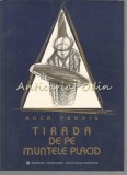 Tirada de pe Muntele Placid - Anca Pedvis, Fundatiei Culturale Romane, Bucuresti, 2003, Roman, 145 pagini, Romana/Engleza