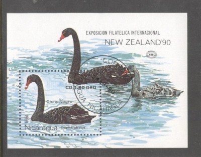 Nicaragua 1990 New Zealand Birds perf. sheet Mi.B193 used TA.101 foto