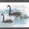 Nicaragua 1990 New Zealand Birds perf. sheet Mi.B193 used TA.101