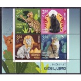 CROATIA 2021 FAUNA ANIMALE DOMESTICE PISICI