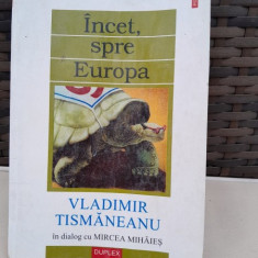 Incet, spre Europa - Vladimir Tismaneanu