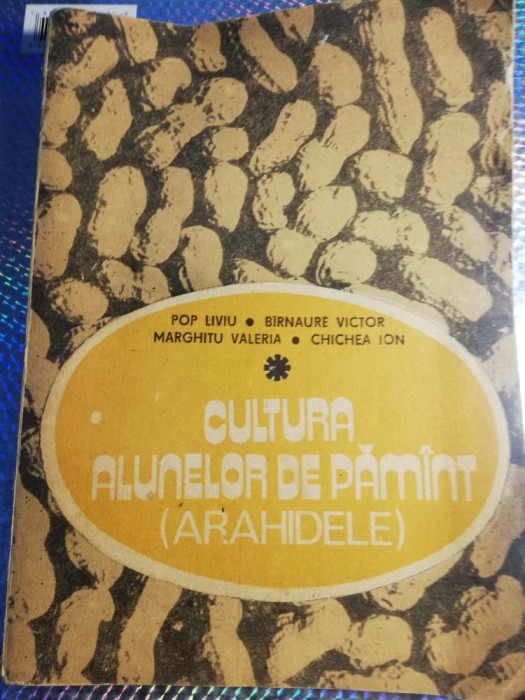 Cultura alunelor de păm&acirc;nt arahide