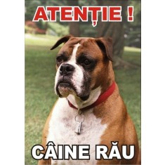 Placuta caine rau Boxer