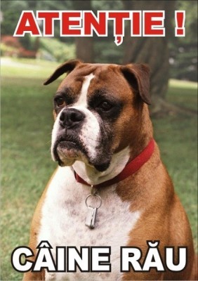 Placuta caine rau Boxer foto