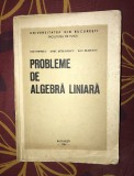 D. Blideanu, I. Popescu, D. Stefanescu/ Probleme de Algebra Liniara