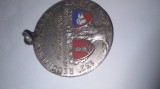 Cumpara ieftin MEDALIE MILITARA REGIMENT TANCURI