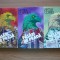 VINTILA CORBUL - PASARI DE PRADA - 3 volume - 1992