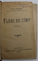 FLORI DE CAMP , nuvele de IOAN ADAM , 1900 foto