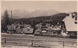 CARTE POSTALA VEDERE SPRE MASIVUL BUCEGI