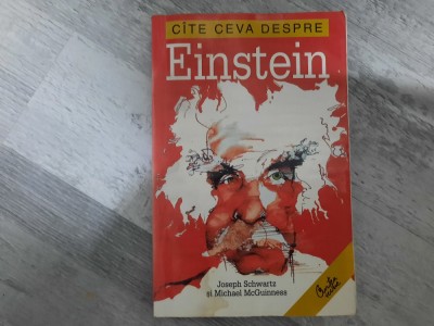 Cite ceva despre Einstein de Joseph Schwartz si Michael McGuinnes foto