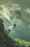 Pelinul negru - Paperback brosat - Ioana Nicolaie - Humanitas