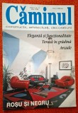 Revista Caminul nr. 5, 1998 *constructii, arhitectura, decoratiuni vintage