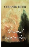 Cumpara ieftin Taramul vanturilor - Gerhard Meier