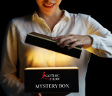 Gothic Fairy Mystery Box - 300