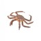 Figurina Crab Regal pictata manual XL Collecta