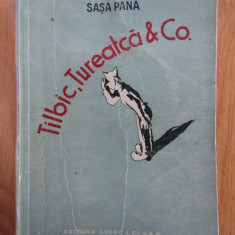 Sasa Pana - Tilbic, Tureatca