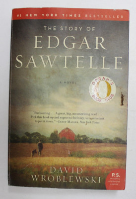 THE STORY OF EDGAR SAWTELLE - A NOVEL by DAVID WROBLEWSKI , 2009 foto