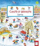 Cumpara ieftin Iarna. Caută și găsește - Hardcover - Susanne Gernh&auml;user - Casa