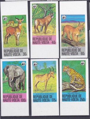 DB1 Fauna Africana Volta Superioara 1979 WWF NDT Rara 6 v. MNH foto