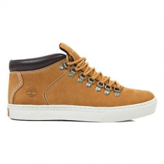 Ghete Barbati Timberland Adv 20 Alpine Chukka A1IYN foto