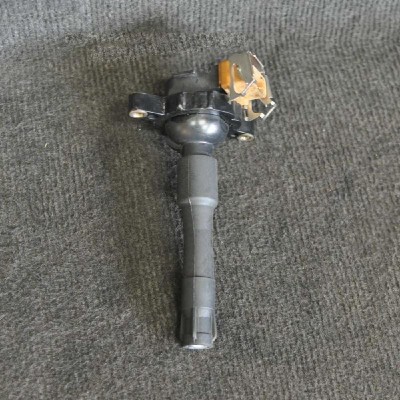 Bobina de inducție de &amp;icirc;naltă tensiune BMW 7 E38 1998 OEM: 1748017 2038511 foto