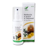 Spray Kombucha Arnica Tataneasa Medica, 100ml, Ingrijire Corp, Calmare, Relaxare Musculara