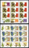 Romania 2010, LP 1884 d, Emisiune comuna Romania - Cipru: Viticultura, minicoli de 8 timbre, 1 vinieta si 3 tabs-uri, MNH! RARE!