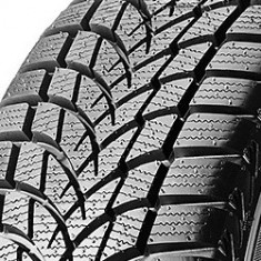 Cauciucuri de iarna Dayton DW510 Evo ( 205/55 R16 91H ) foto