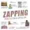 Zapping prin istoria artelor