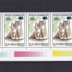 ROMANIA 2001 LP 1564 PUI DE ANIMALE 94 SUPRATIPAR MOUSE STRAIF DE 5 MNH