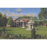 Vil&aacute;gnak vir&aacute;ga - K&aacute;rp&aacute;t-medencei illat- &eacute;s vir&aacute;g&uacute;t, Kir&aacute;lysz&aacute;ll&aacute;s - N&eacute;meth Anik&oacute;
