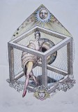 Tablou Tudor Banus - Moft la cub (Litografie originala)