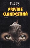 Ioan Nesu - Privire clandestina