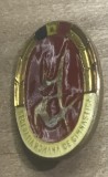 Insigna AMS1 Insigna Veche Federatia Romana de Gimnastica FRG - Sport Retor Retro Tricolor - Emblema Vintage Colectie Sportiv Metal Emailat