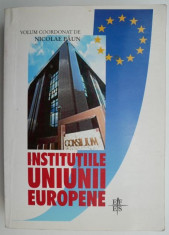 Institutiile Uniunii Europene ? Nicolae Paun foto