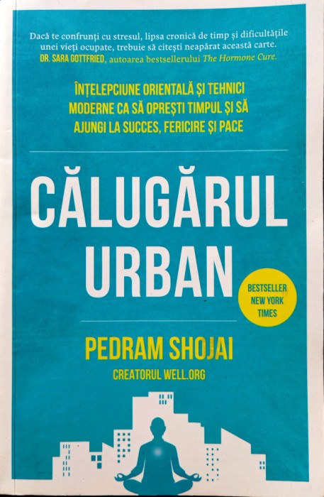 CĂLUGĂRUL URBAN - PEDRAM SHOJAI, s