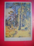 HOPCT 23832 PRIVELISTE- 1934- N TYRSA 1887-1942 - RUSIA --MUZEE - CP PICTURA --NECIRCULATAMUNTII