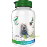 Strugurii Ursului 60cps