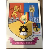 CPIF Stema cu timbru al judetului Dolj