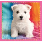 Puzzle 3in1 - Catelusi la baita | Trefl