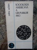 Sociologia americana a grupurilor mici - Mihu Achim